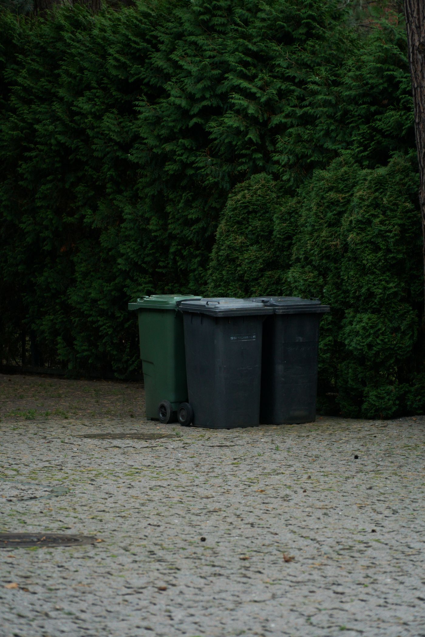 Trash bins