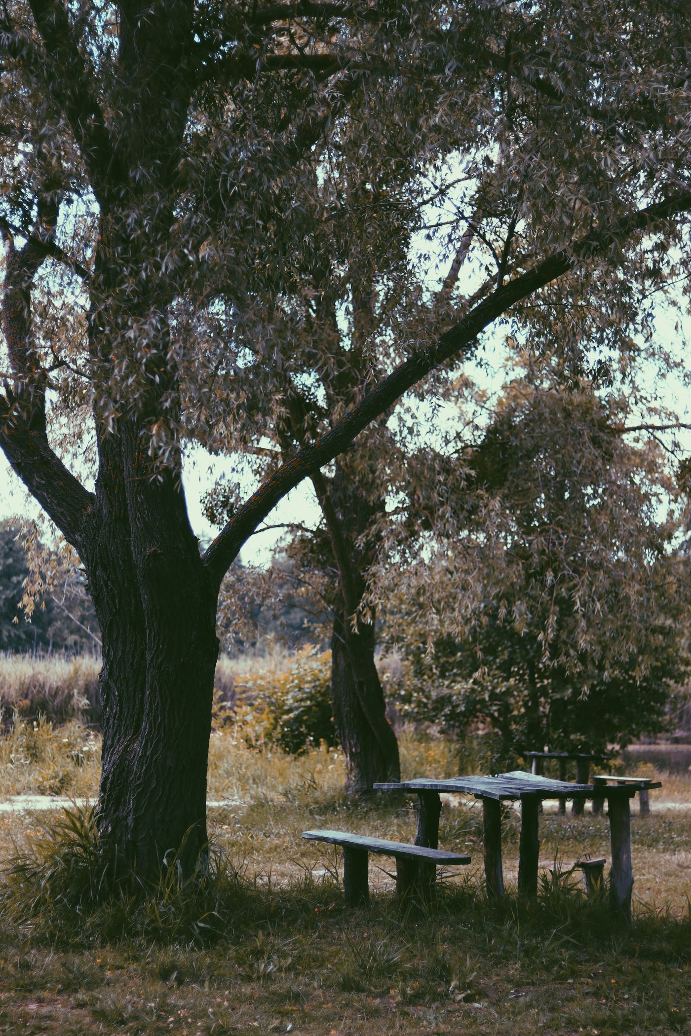 An outdoor picnic table