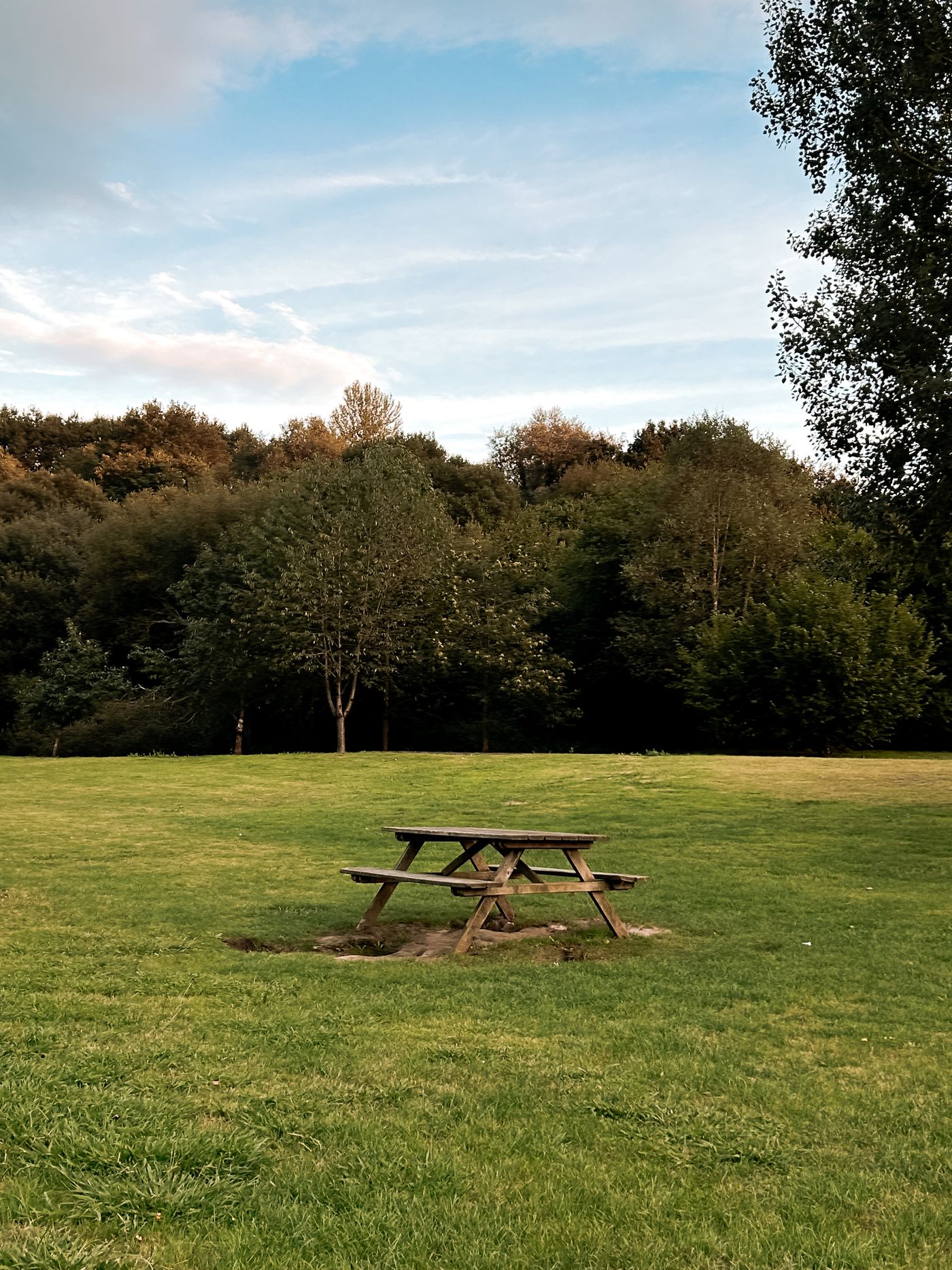 Picnic Tables