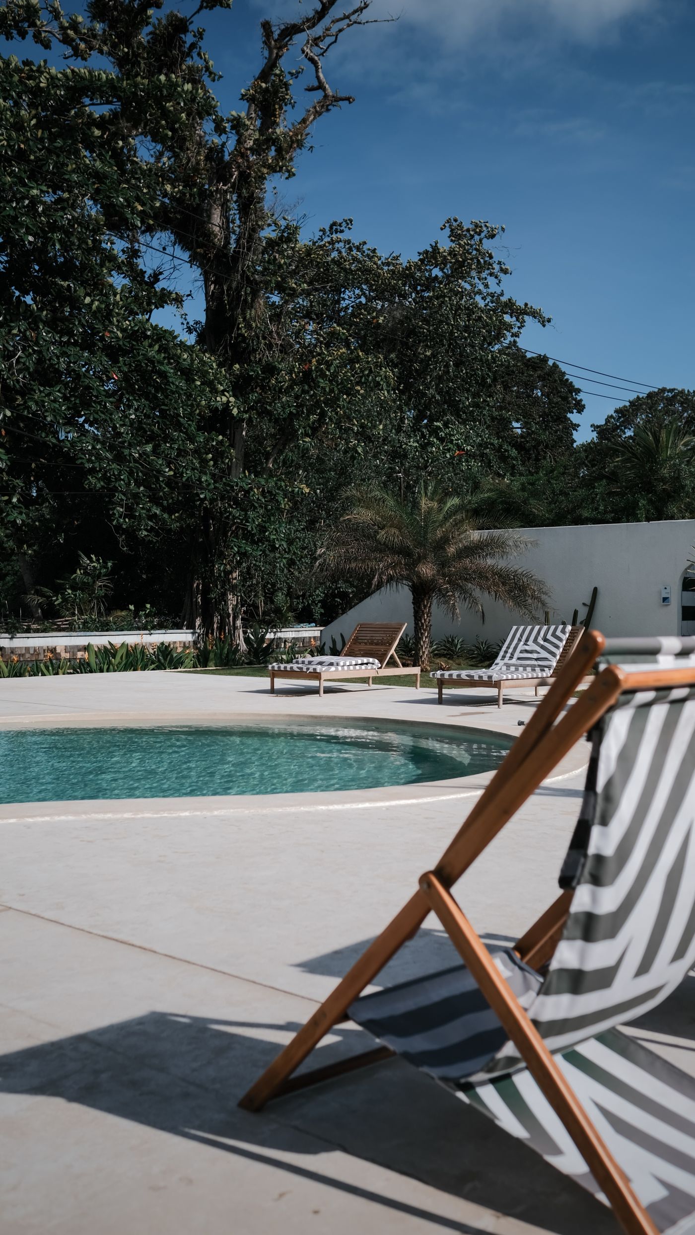 Poolside sun loungers