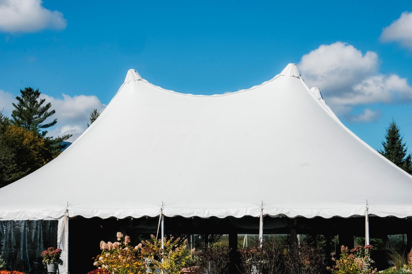Bedioun Tent ??? ???