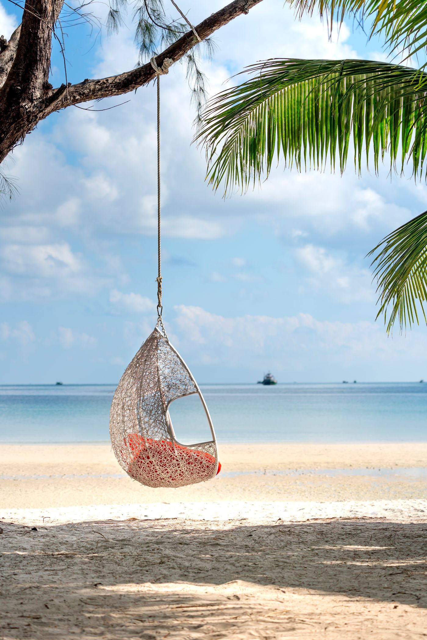 Swings