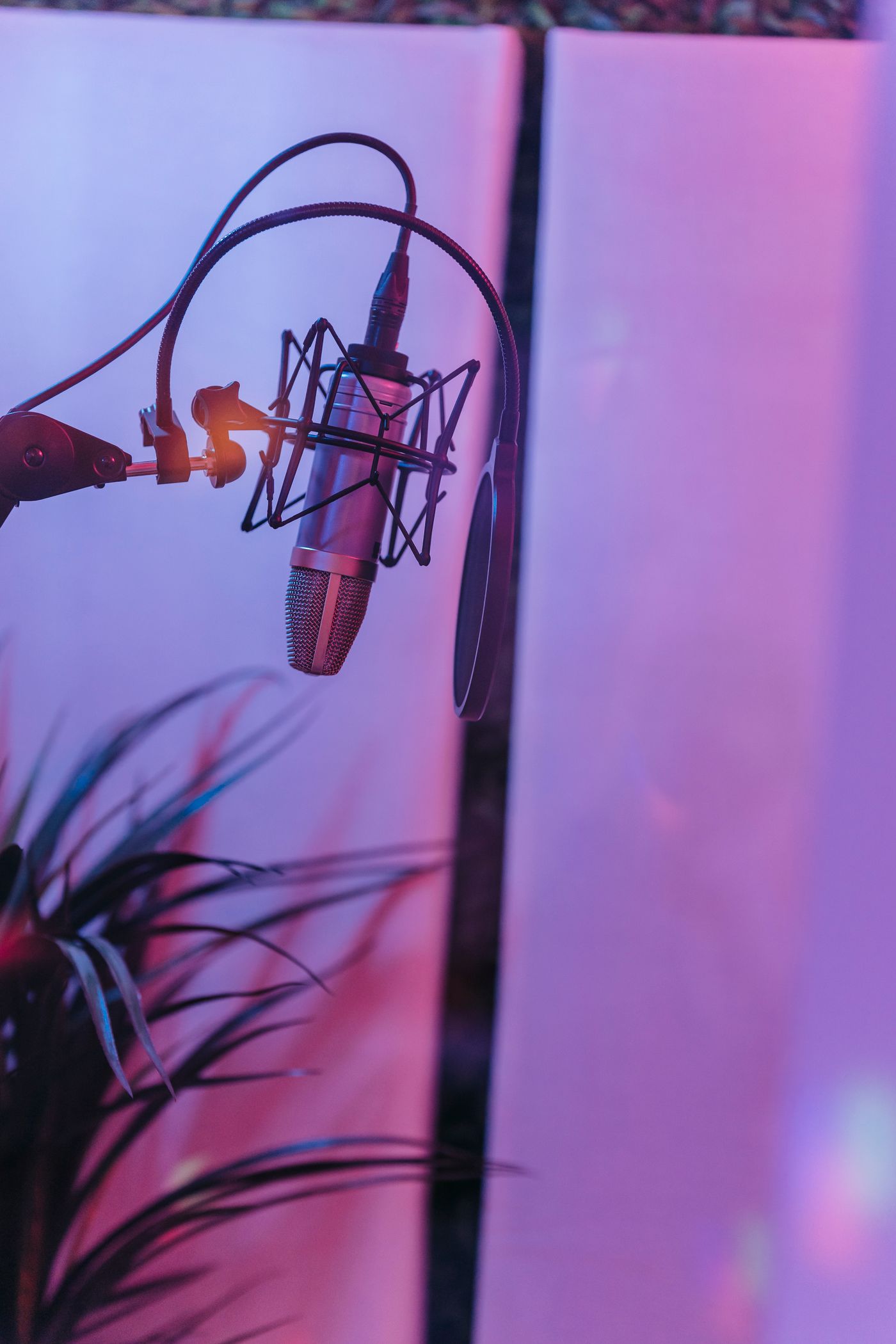 A microphone mounted on a stand